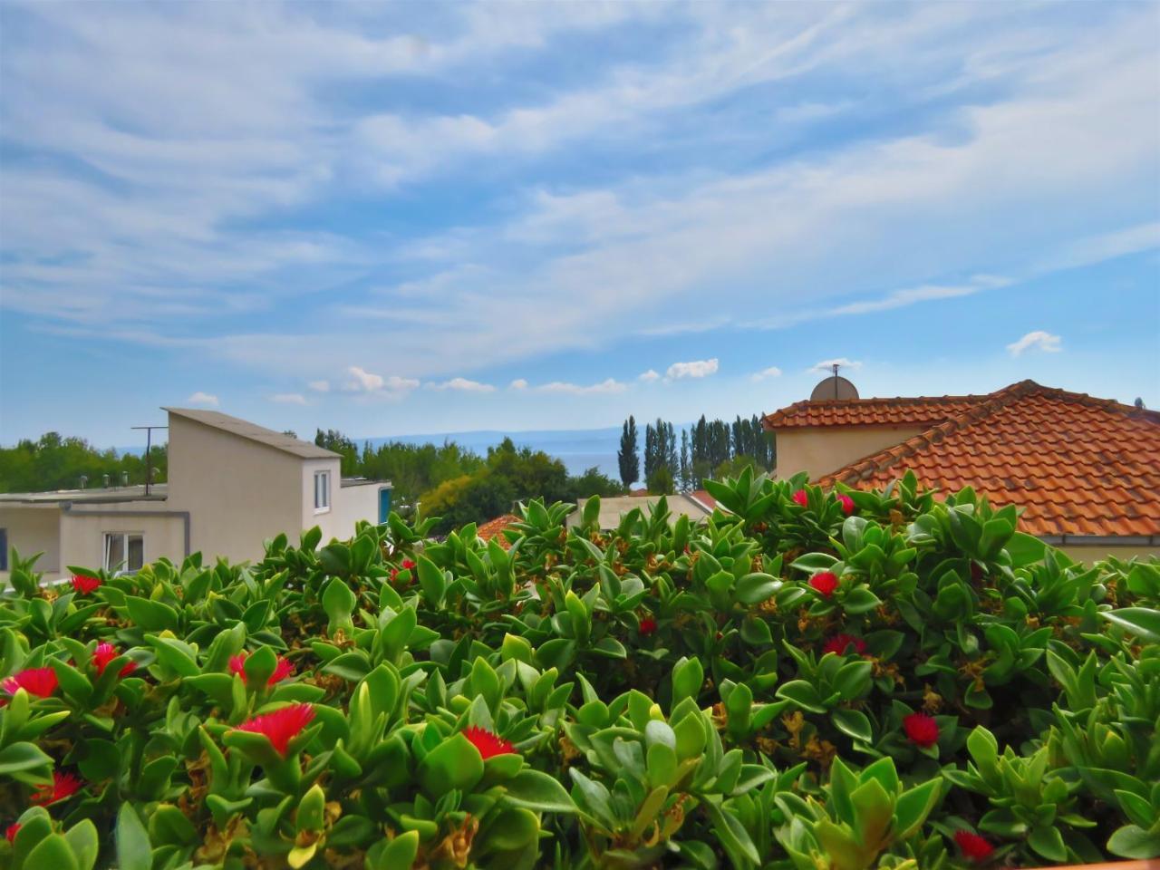 Apartments Zvone Omiš Εξωτερικό φωτογραφία